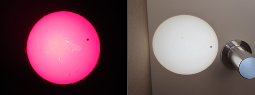 Hαで見るとプロミネンスが綺麗に見えます。SolarScopeで投影すると、黒点などの様子を観察できます。
