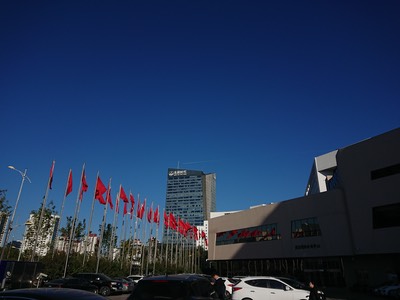 DSC 0654