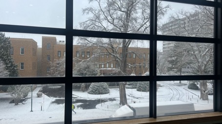北海道大学（雪）