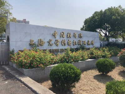 AB54346D-EBEB-4D81-9DB5-0314C92FDE34_1_105_c